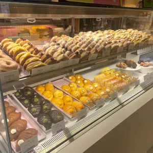 노티드 사진