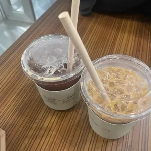 엔제리너스 사진
