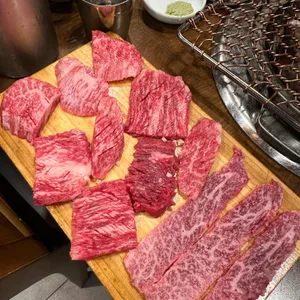 암소가 사진