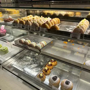 노티드 사진
