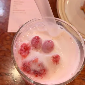 카야네 사진