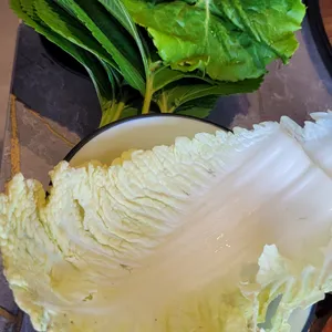 해탄 사진