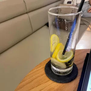 포레스트 사진