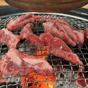 소담 사진