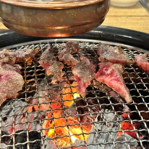 소담 사진