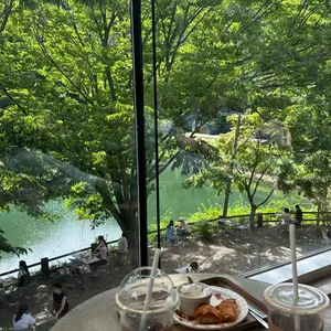 엔학고레 사진
