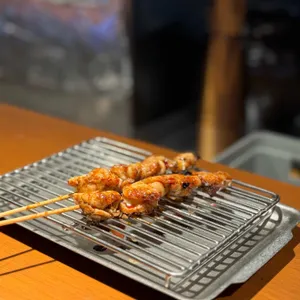 토리우리 사진