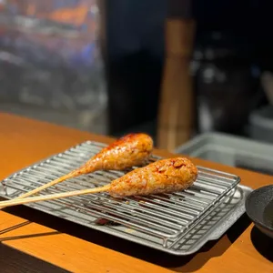 토리우리 사진