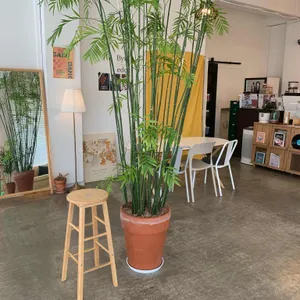 가비당 리뷰 사진