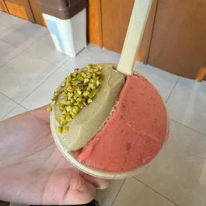 뚜오이 사진