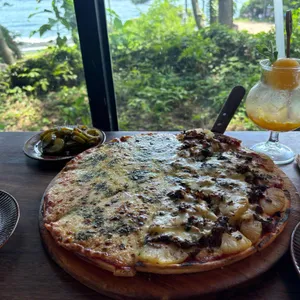 로빙화 사진