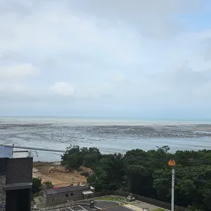 다츠도츠 리뷰 사진