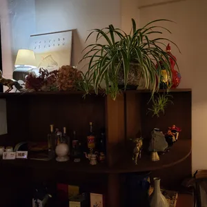 초량 리뷰 사진