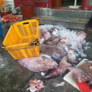 바다횟집 사진