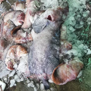 바다횟집 리뷰 사진