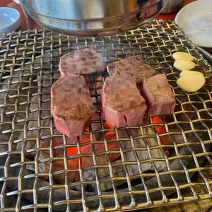 초원 리뷰 사진