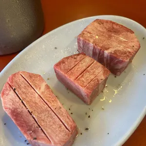 초원 리뷰 사진