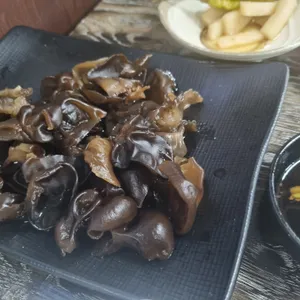 원시다자 사진