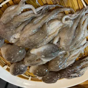 소문난 초량할매쭈꾸미 사진