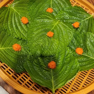 이고집 쭈꾸미 사진