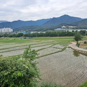 가랑잎새 리뷰 사진