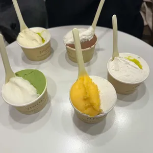 젠제로 도산 사진