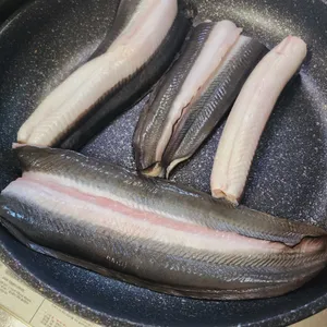엄청난장어 사진