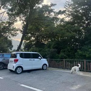 장암골 리뷰 사진