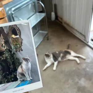 카페 한라산 리뷰 사진