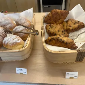 포도 사진