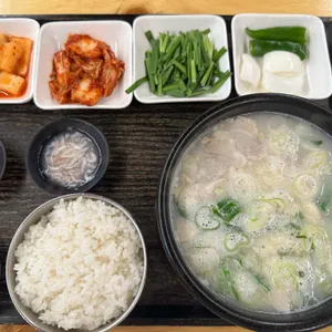 단디만 사진