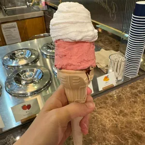 젤라띠젤라띠 사진