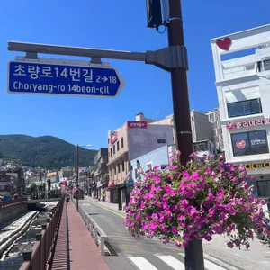 칙바이칙 대표 사진