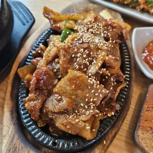 소나무 사진