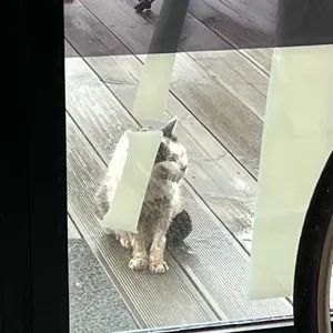 우렁이각시 리뷰 사진