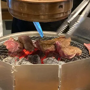 양지바름 사진