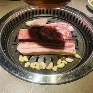 거북이동네 사진