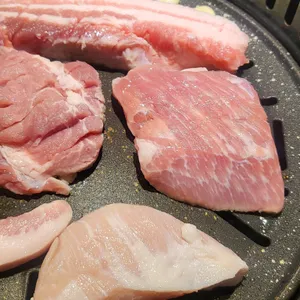 거북이동네 사진