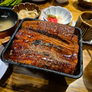 타마 사진