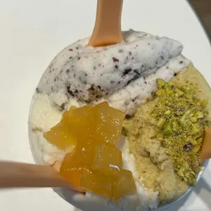 젤라떼리아 도도 사진