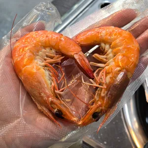 육해공 사진