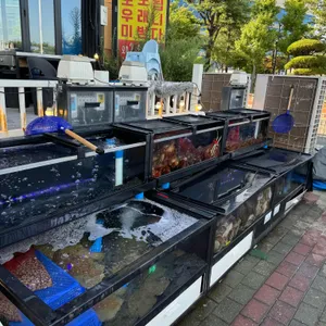조새호 리뷰 사진
