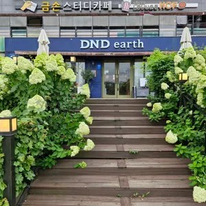 디엔디어스 리뷰 사진