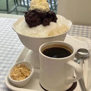 로로러버스 사진