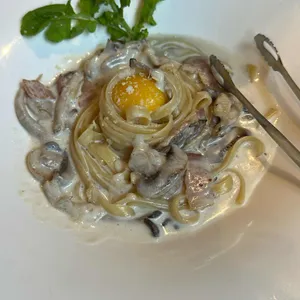 송스키친 사진