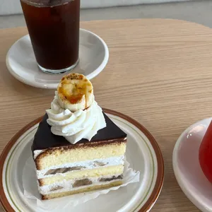 피카 사진