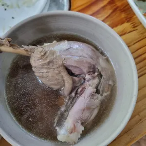오리박사 사진