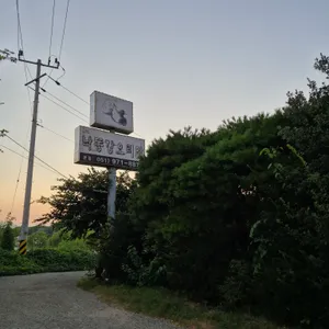 낙동강오리알 리뷰 사진