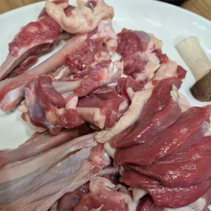 낙동강오리알 사진