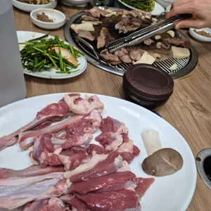 낙동강오리알 사진